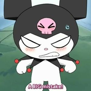 Meet your Posher, Mina